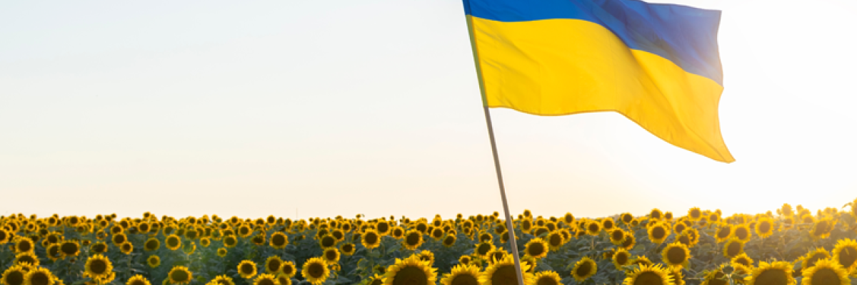 A flag in a field of sunflowers