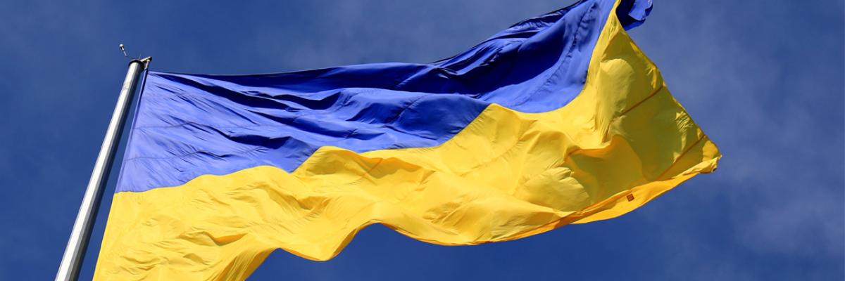 a blue and yellow flag