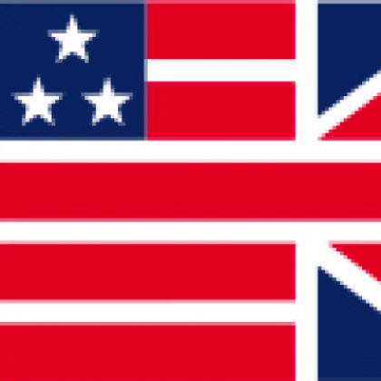 Image of a flag with red and blue detail and white stars