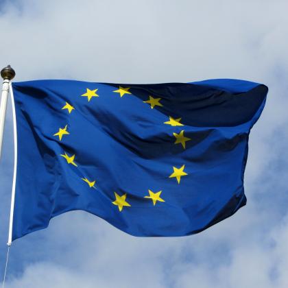 "Will the UK Referendum Irreparably Damage Europe?" - Gwendolyn Sasse responds